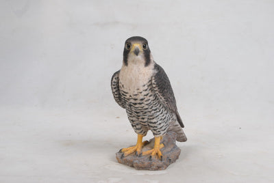 Peregrine Falcon Hi-Line Gift Ltd.