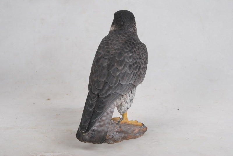 Peregrine Falcon Hi-Line Gift Ltd.