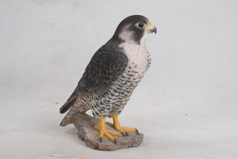 Peregrine Falcon Hi-Line Gift Ltd.