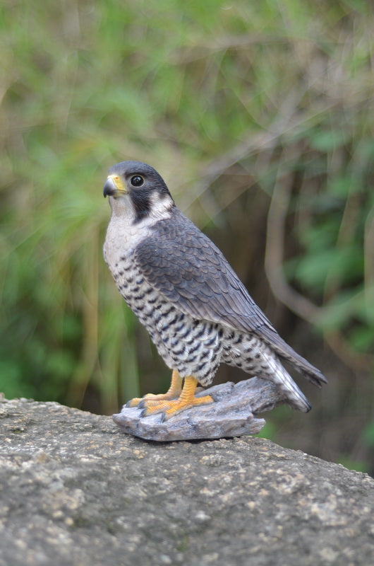 Birds of Prey Statues - Eagles, Hawks, Falcons and Owls – Hi-Line