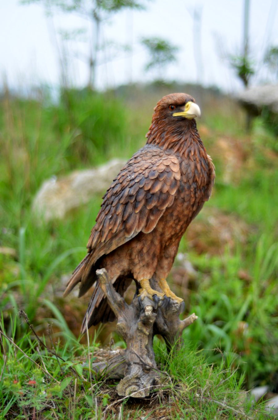 Birds of Prey Statues - Eagles, Hawks, Falcons and Owls – Hi-Line
