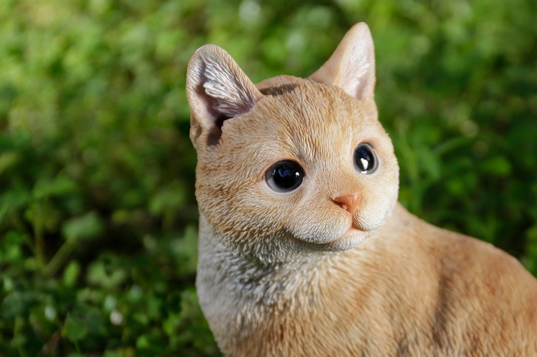 Ginger Cat Looking Back Resin Statue for Décor – Hi-Line Gift Ltd.
