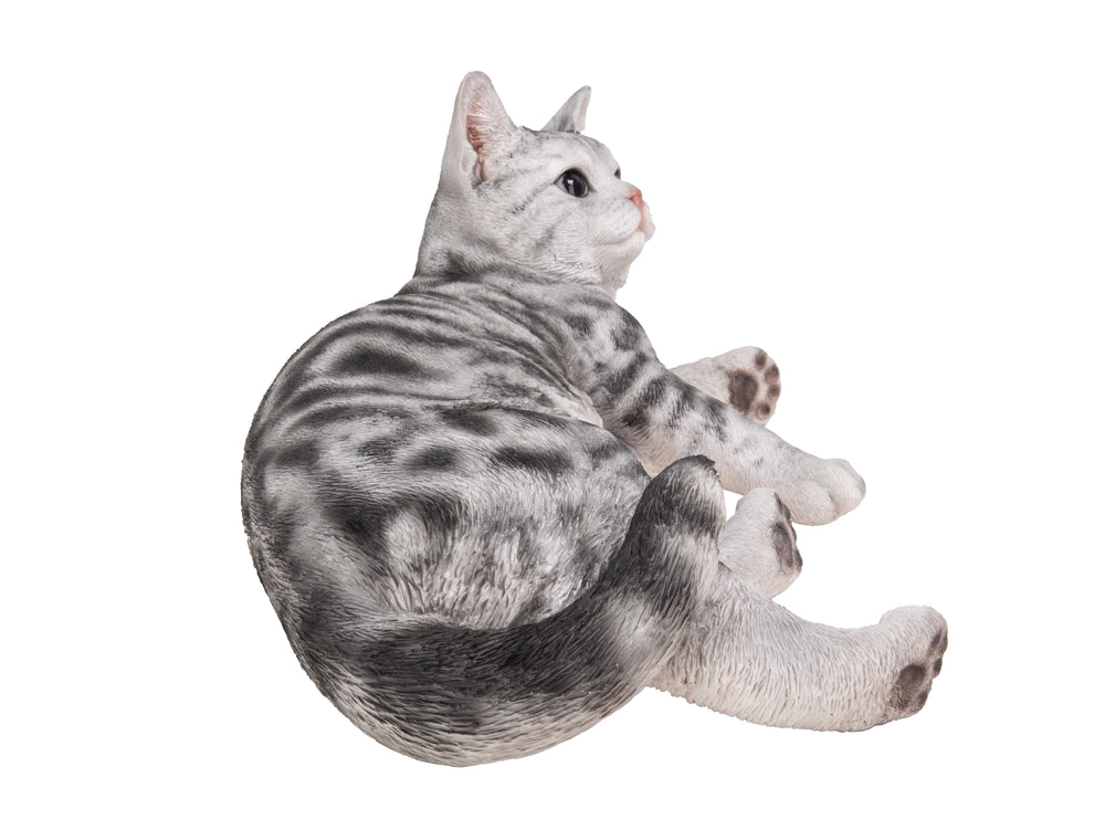 American Shorthair Cat Lying Down HI-LINE GIFT LTD.
