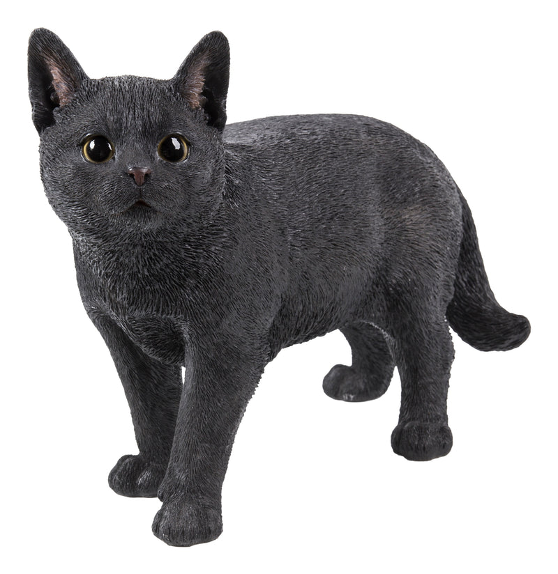 Black Cat Walking Looking Left Statue HI-LINE GIFT LTD.