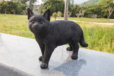 Black Cat Walking Looking Left Statue HI-LINE GIFT LTD.