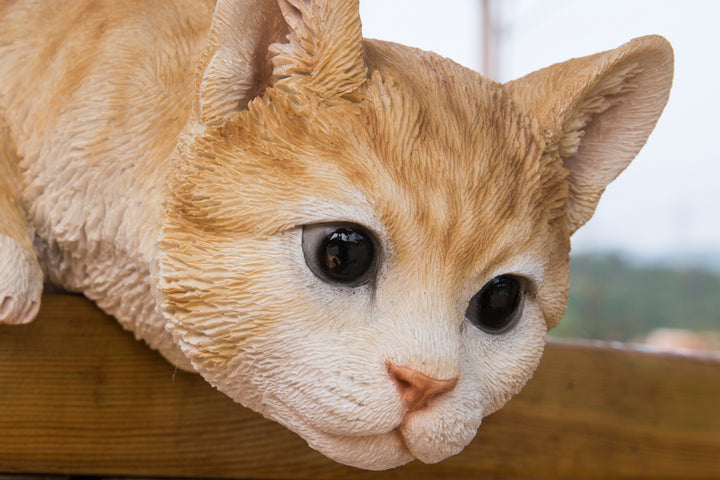 Cat Looking Over Ledge- Orange Tabby HI-LINE GIFT LTD.