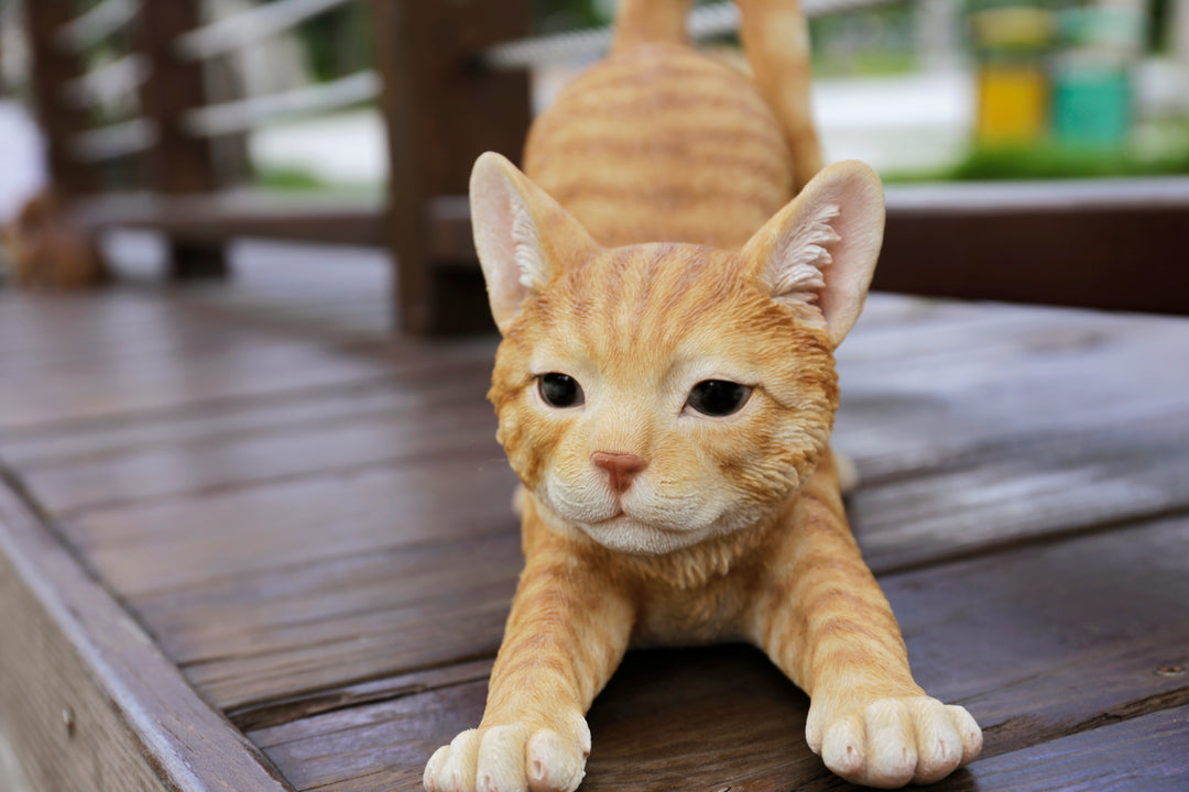 Orange Tabby Cat Stretching Hi-Line Gift Ltd.