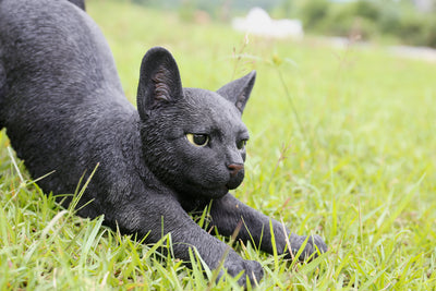 Cat Stretching - Black HI-LINE GIFT LTD.