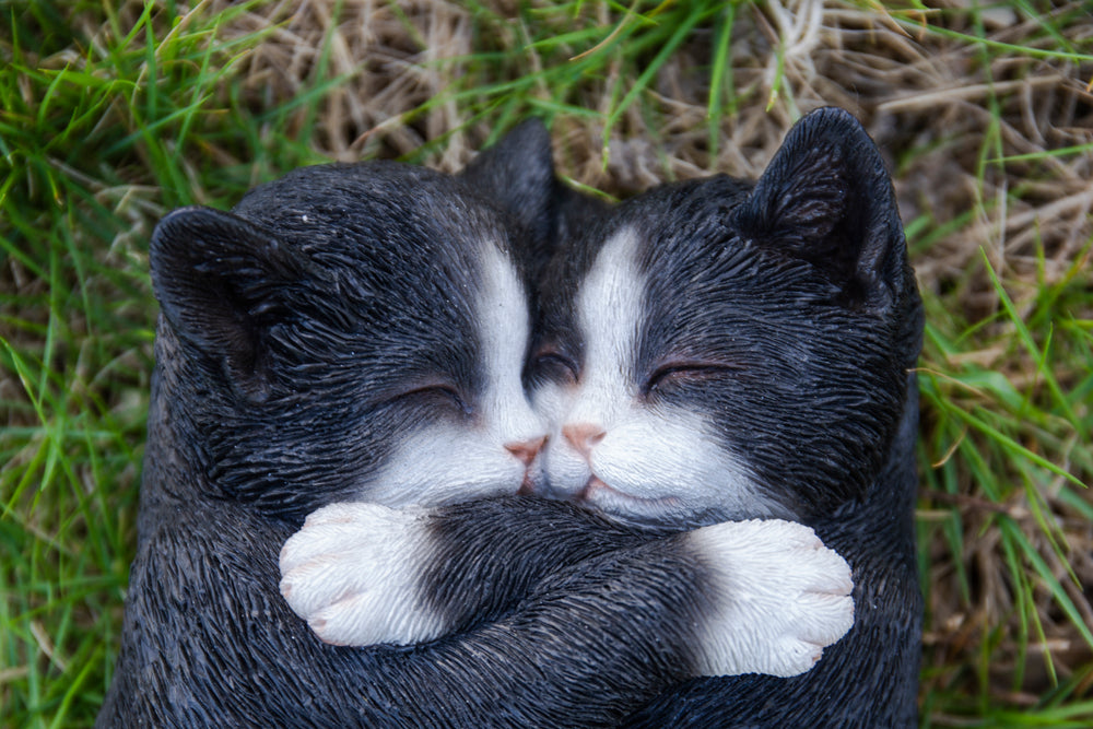 Sleeping Couple Cats - Black And White HI-LINE GIFT LTD.