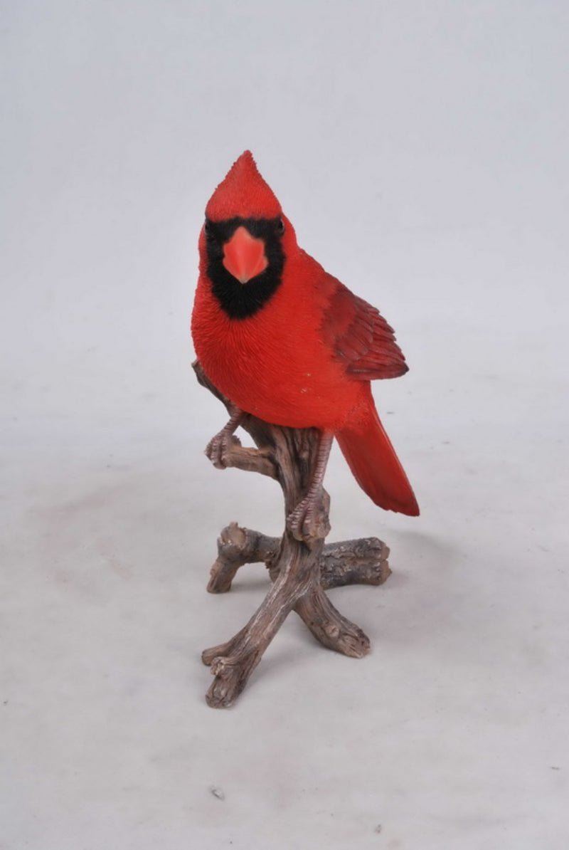 Cardinal On Branch Hi-Line Gift Ltd.