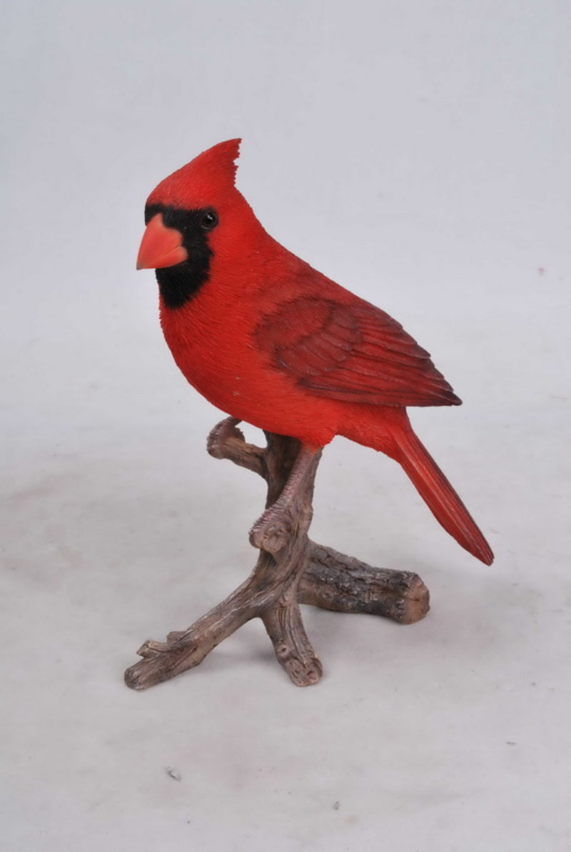 Cardinal On Branch Hi-Line Gift Ltd.
