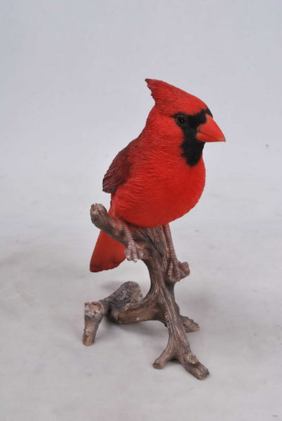 Cardinal On Branch Hi-Line Gift Ltd.