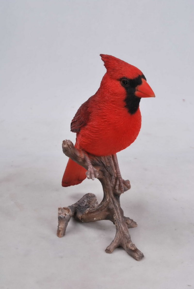 Cardinal On Branch Hi-Line Gift Ltd.
