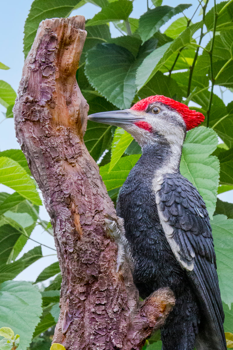 Pileated Woodpecker on a tree trunk Garden Statue HI-LINE GIFT LTD.