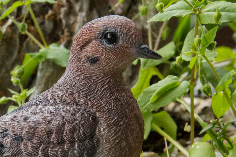 Mourning Dove on grass Garden Statue HI-LINE GIFT LTD.