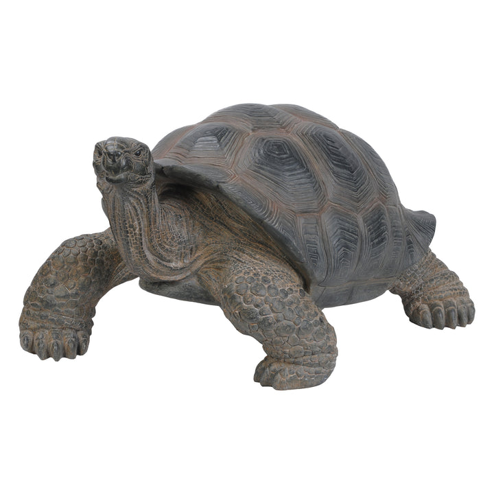 Tortoise Hi-Line Gift Ltd.