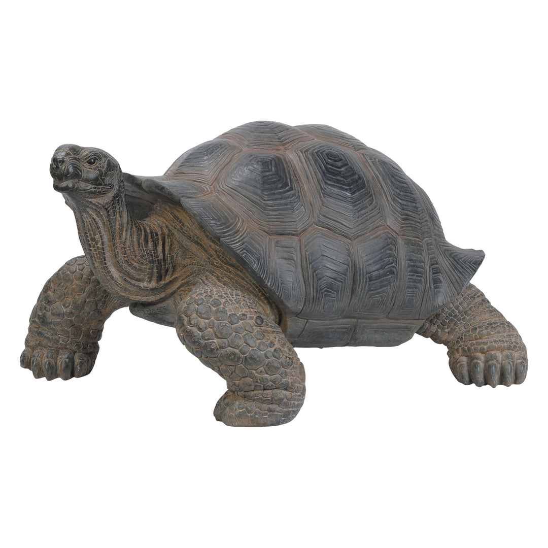 Tortoise Hi-Line Gift Ltd.