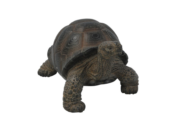 Small Tortoise Hi-Line Gift Ltd.