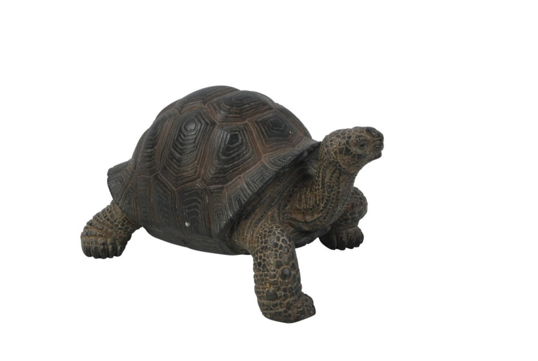 Small Tortoise HI-LINE GIFT LTD.