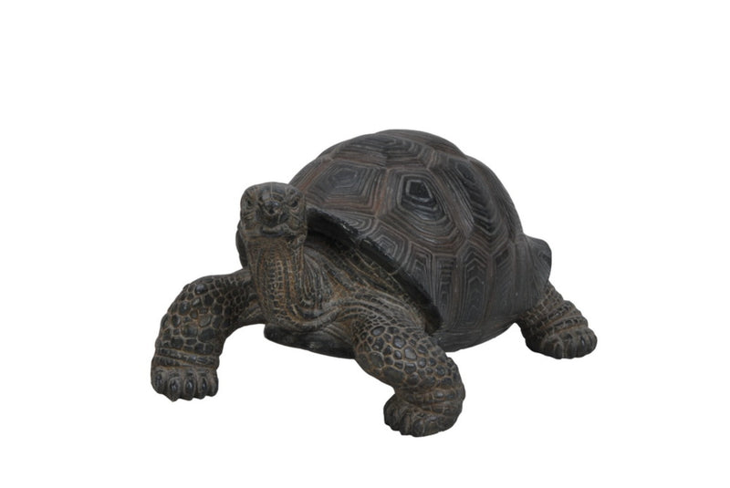 Small Tortoise Hi-Line Gift Ltd.