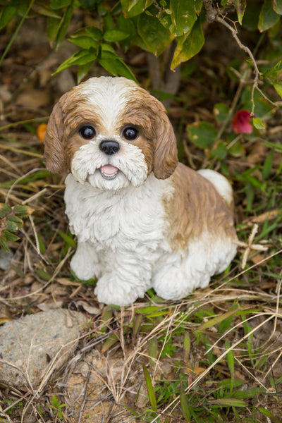 Shi Tzu Sitting - Brown and White Statue HI-LINE GIFT LTD.