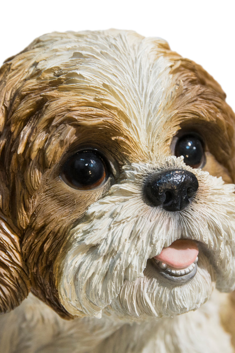 Shi Tzu Sitting - Brown and White Statue HI-LINE GIFT LTD.