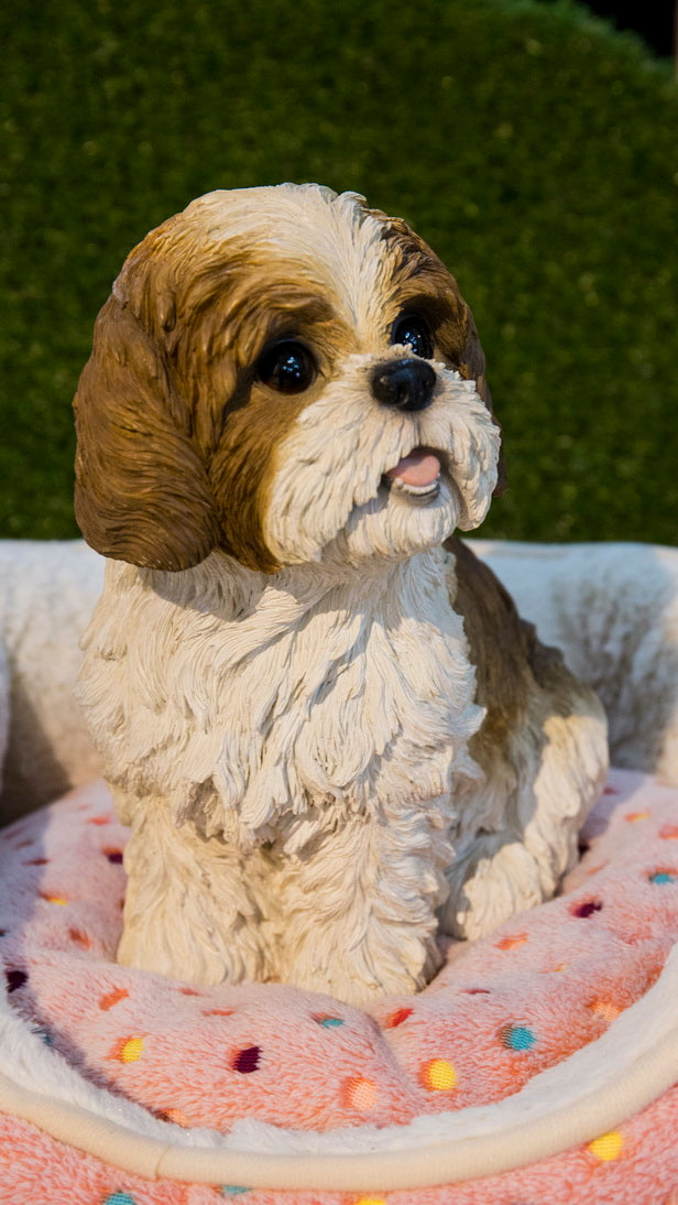 Shi Tzu Sitting - Brown and White Statue HI-LINE GIFT LTD.