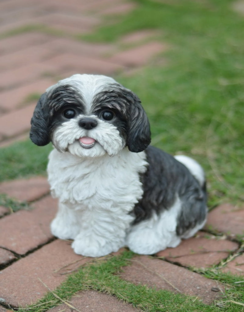 Shi Tzu Puppy Sitting-Black and White Statue HI-LINE GIFT LTD.
