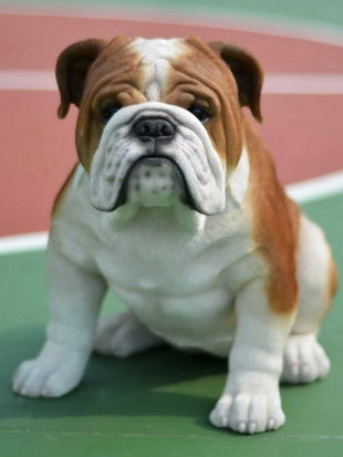 Bulldog Statue HI-LINE GIFT LTD.