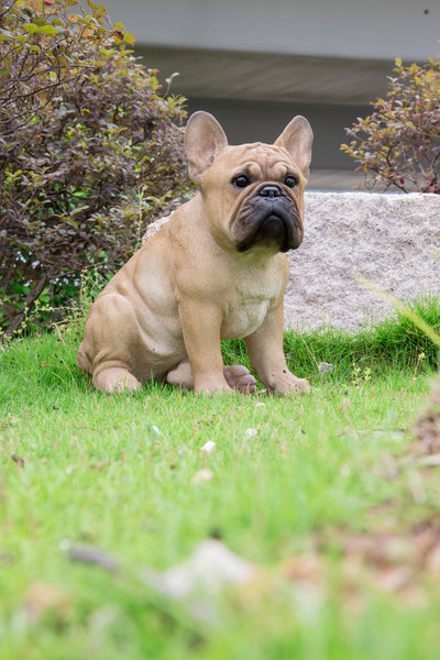 French Bulldog Squatting Statue HI-LINE GIFT LTD.