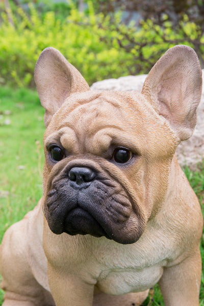 French Bulldog Squatting Statue HI-LINE GIFT LTD.