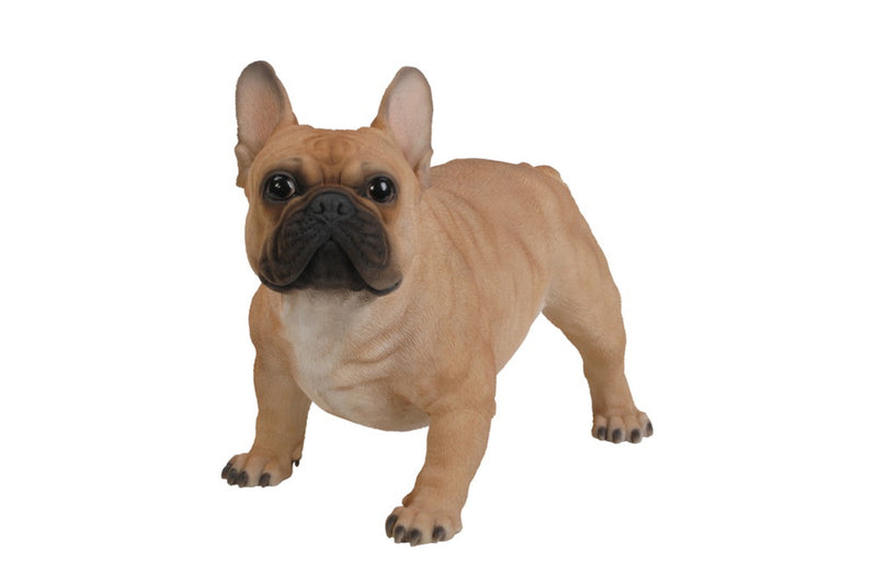 Large French Bull Hi-Line Gift Ltd.
