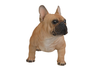 Large French Bull Hi-Line Gift Ltd.