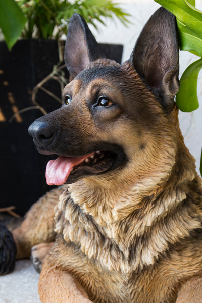 Lying German Shepherd HI-LINE GIFT LTD.