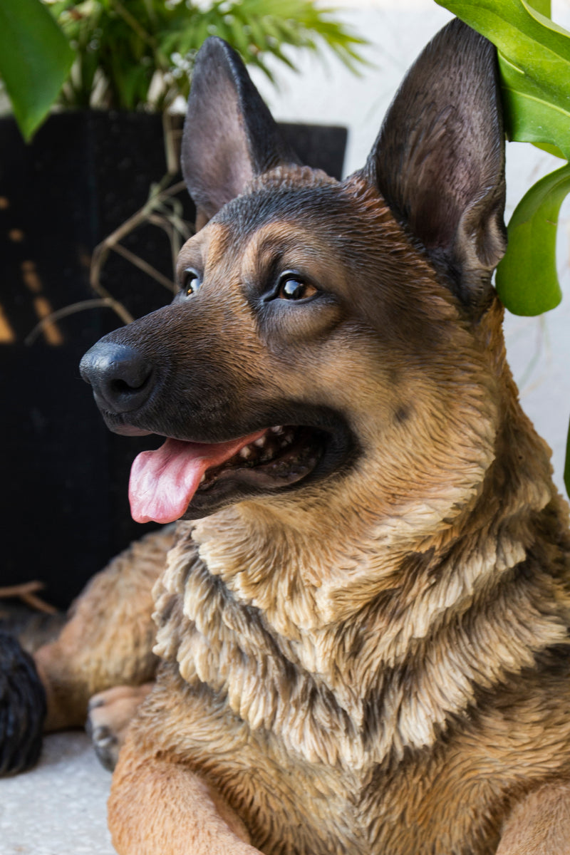 Lying German Shepherd HI-LINE GIFT LTD.