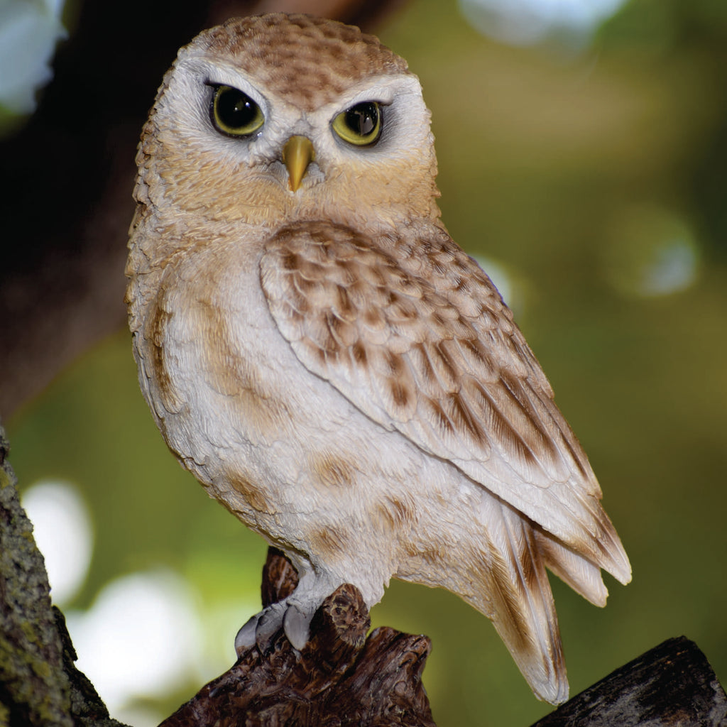 Brown Owl on Stump - Small - Home Decor - Hi-Line Gift Ltd.