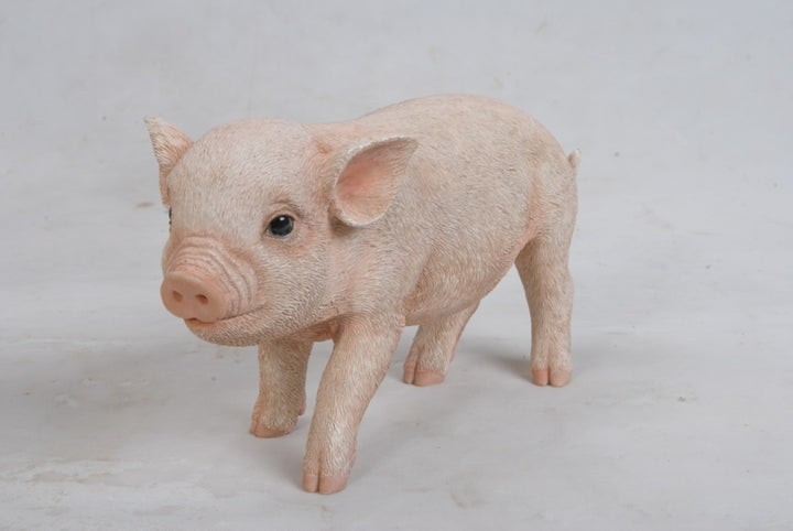 Standing Baby Pig Statue HI-LINE GIFT LTD.