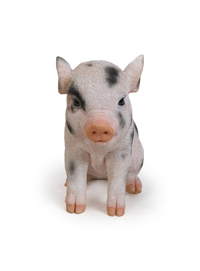87770-A - Sitting Baby Pig W/Black Spots Hi-Line Gift Ltd.