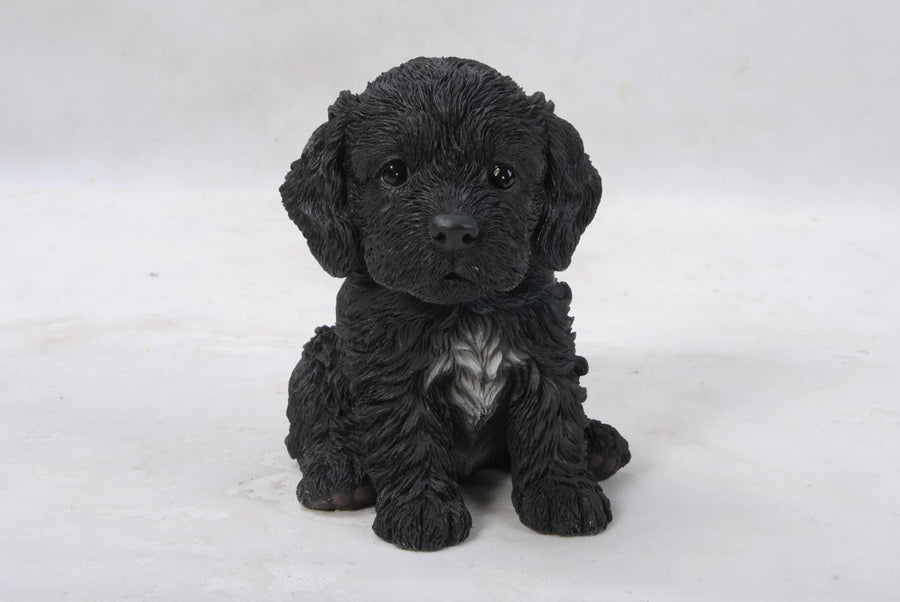 Pet Pals - Cockapoo Puppy Black Statue HI-LINE GIFT LTD.