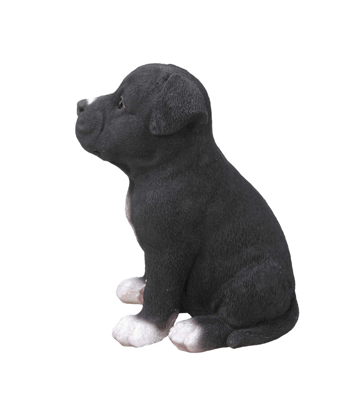 Pet Pals-Staffordshire Pitbull Puppy Statue HI-LINE GIFT LTD.