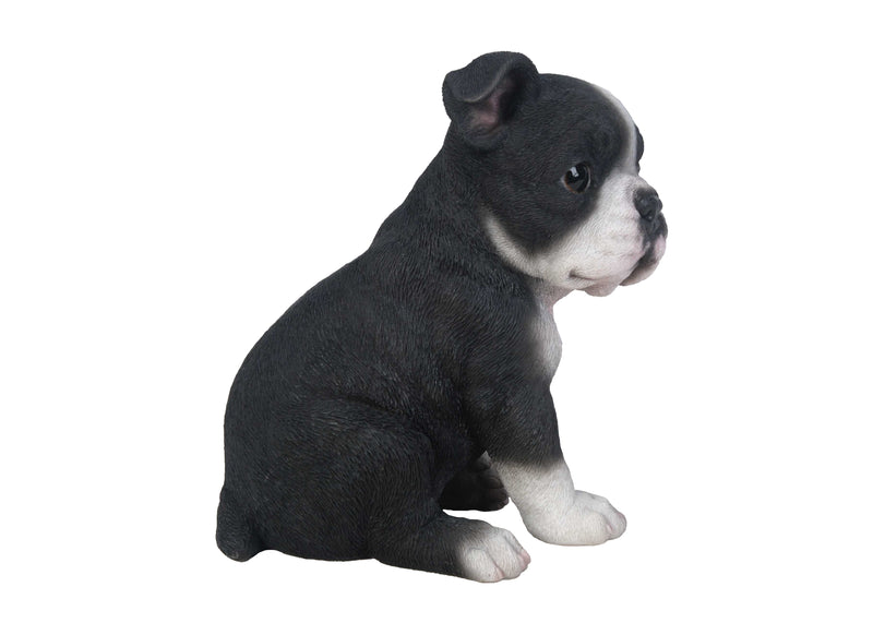 Boston Terrier Statue HI-LINE GIFT LTD.