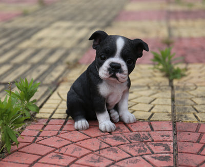 Boston Terrier Statue HI-LINE GIFT LTD.