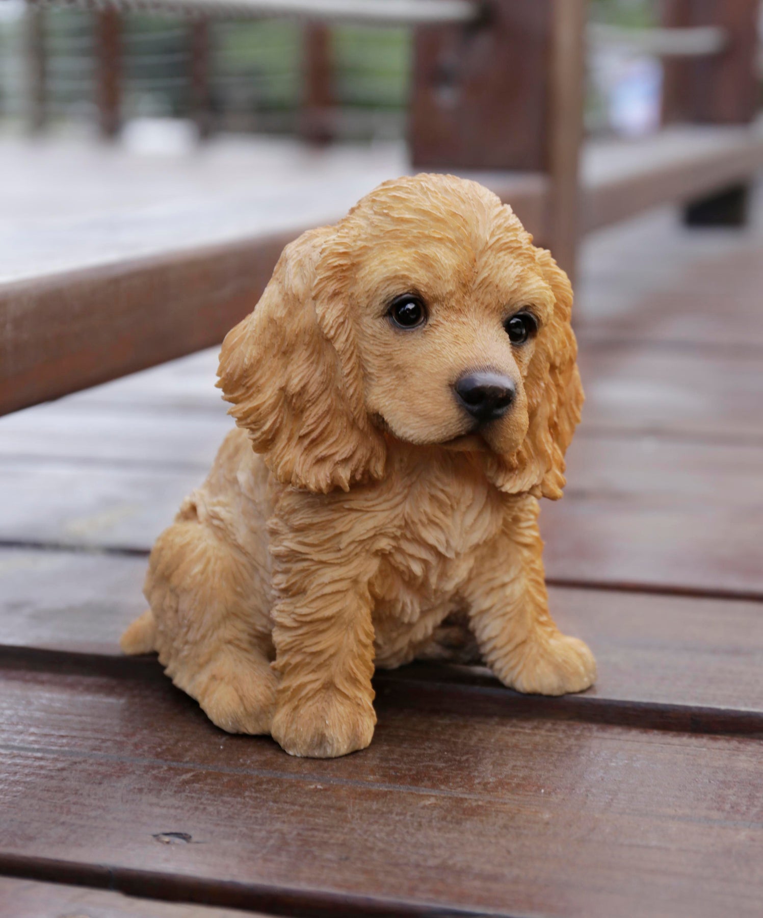 Fine Sveglia Del Cucciolo Di Cocker Spaniel Su Immagine Stock Fine Sveglia Del Cucciolo Di Cocker Spaniel Su Immagine Stock