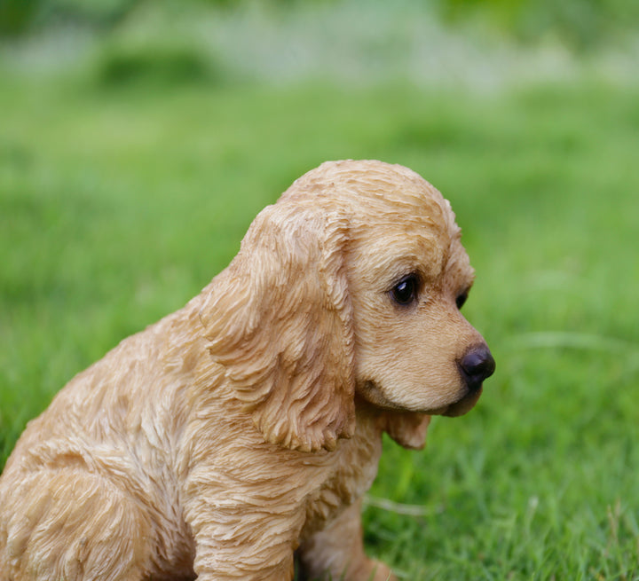 Characters & Creatures STL Téléchargement - Chien Cocker spaniel à poil long - M