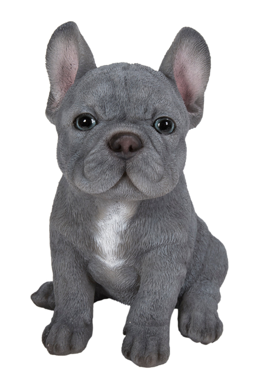 Pet Pals - Blue French bulldog puppy Statue HI-LINE GIFT LTD.