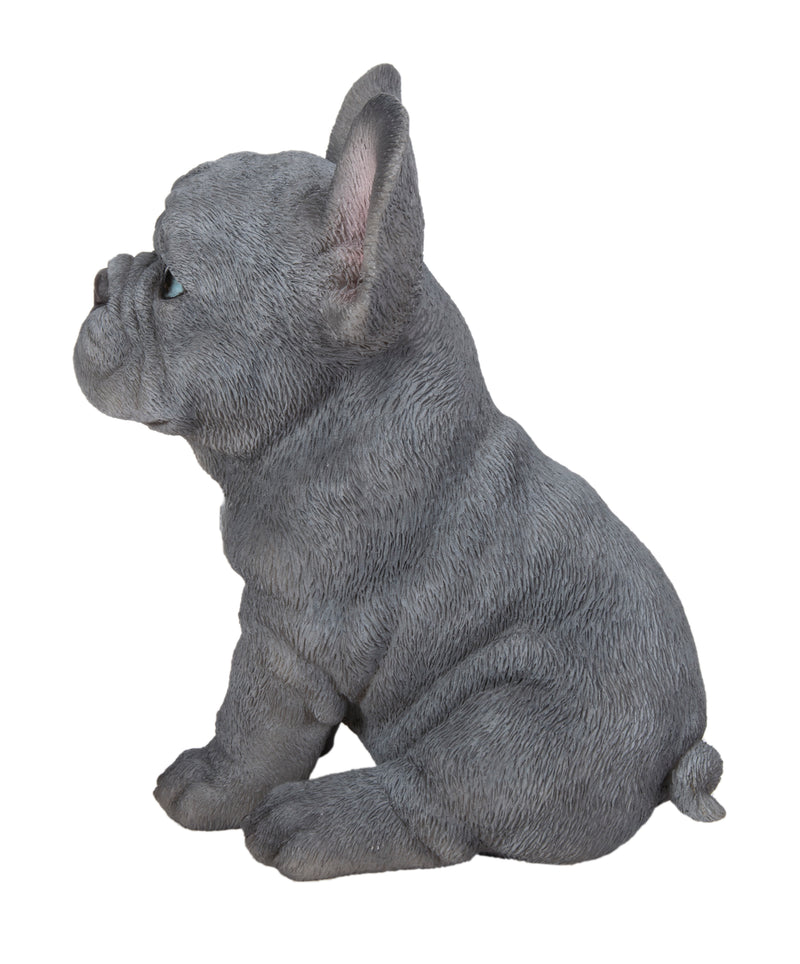 Pet Pals - Blue French bulldog puppy Statue HI-LINE GIFT LTD.