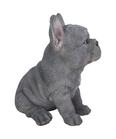 Pet Pals - Blue French bulldog puppy Statue HI-LINE GIFT LTD.