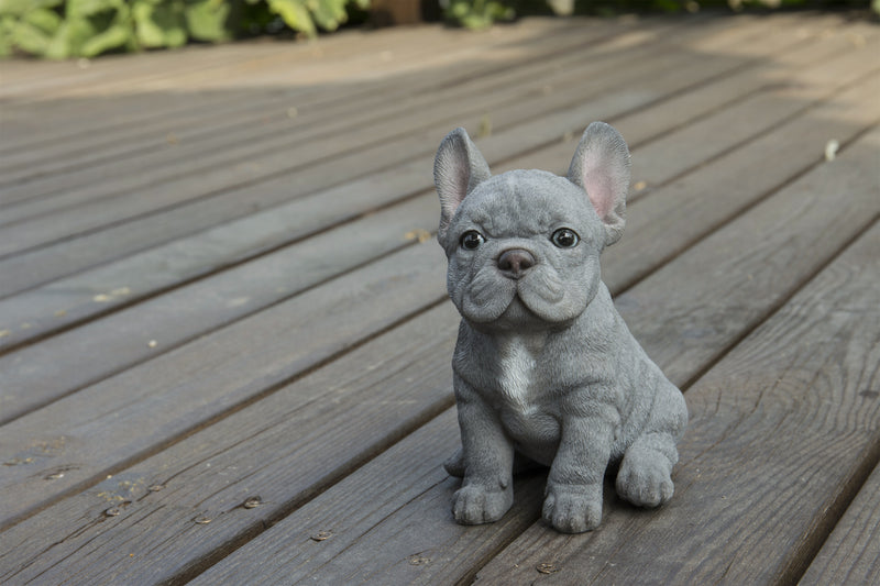 Pet Pals - Blue French bulldog puppy Statue HI-LINE GIFT LTD.