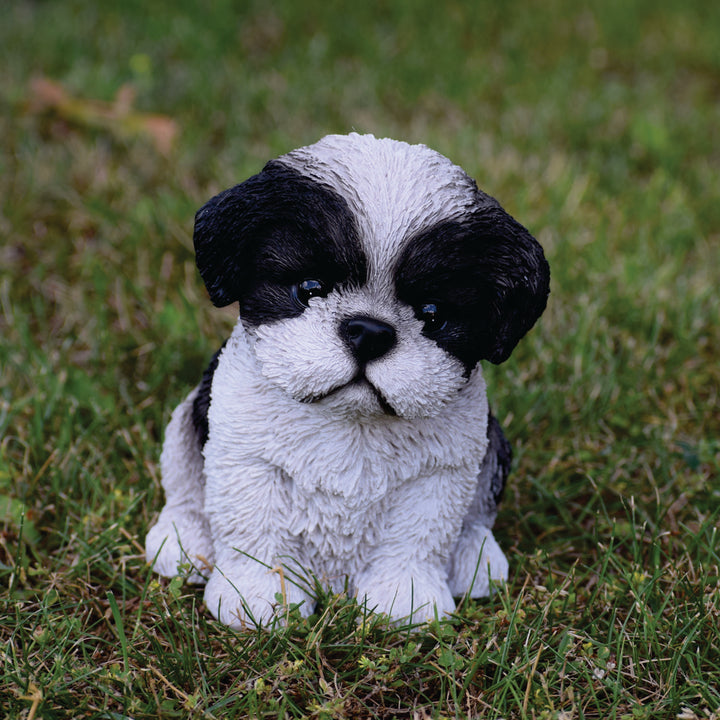 Shih Tzu Puppy Pet Garden Statue – Hi-Line Gift Ltd.