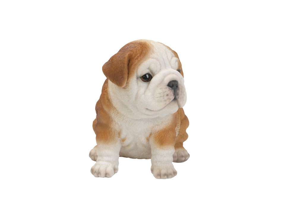 Pet Pals - Bulldog puppy Statue HI-LINE GIFT LTD.